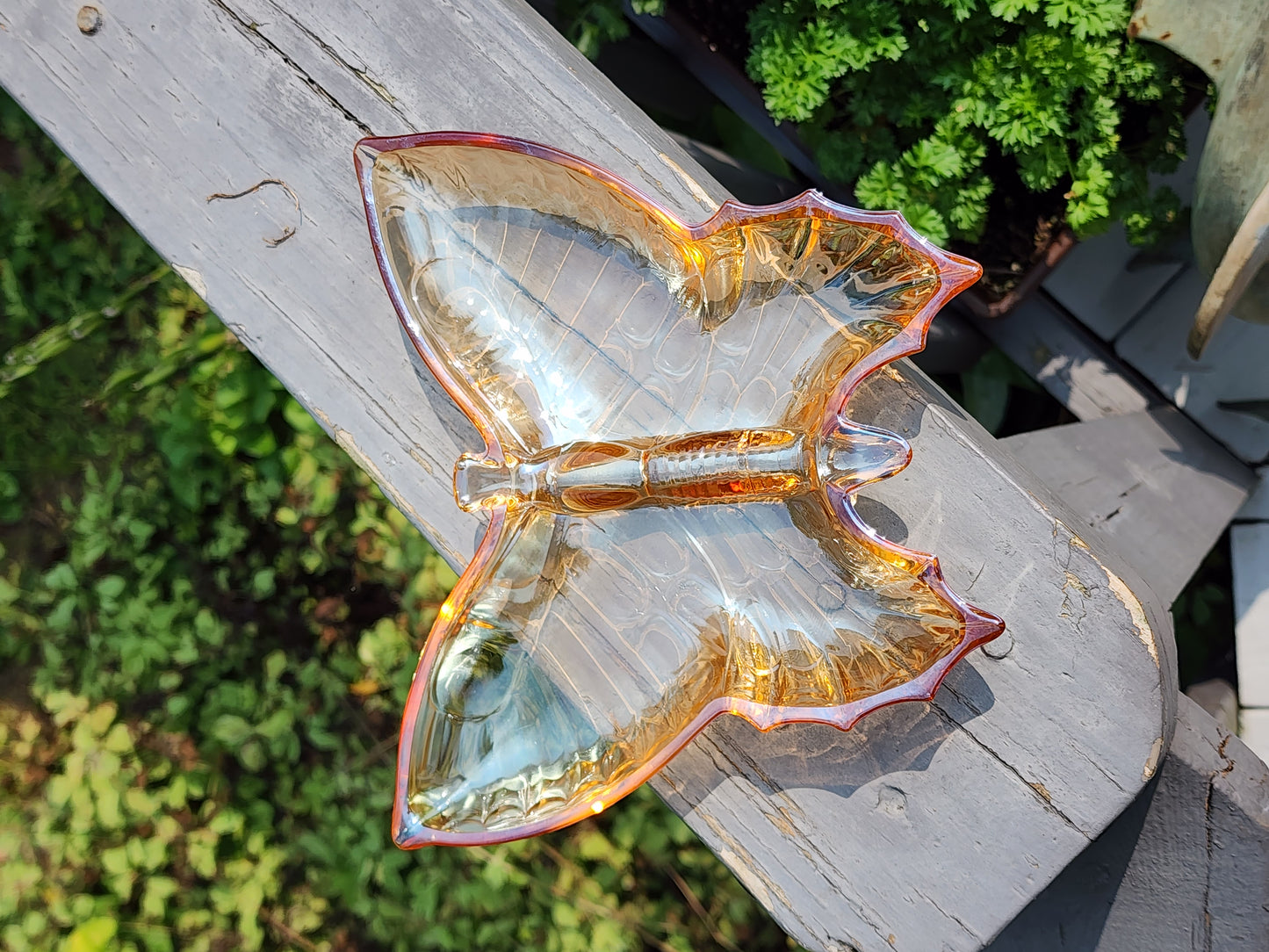 1960's Jeannette Glass Lusterware Butterfly Dish